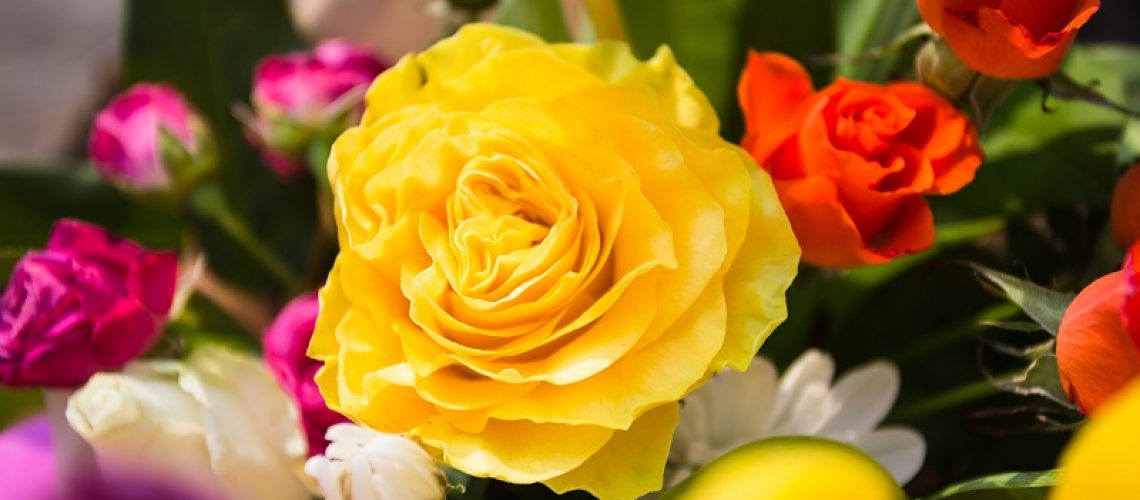 Bouquet of flowers