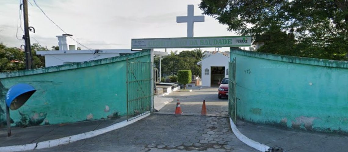 saudade_ferraz_de_vasconcelos